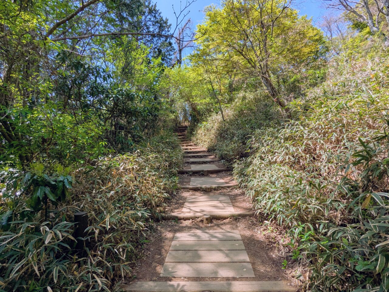 高尾山（高尾山山頂から小仏城山）