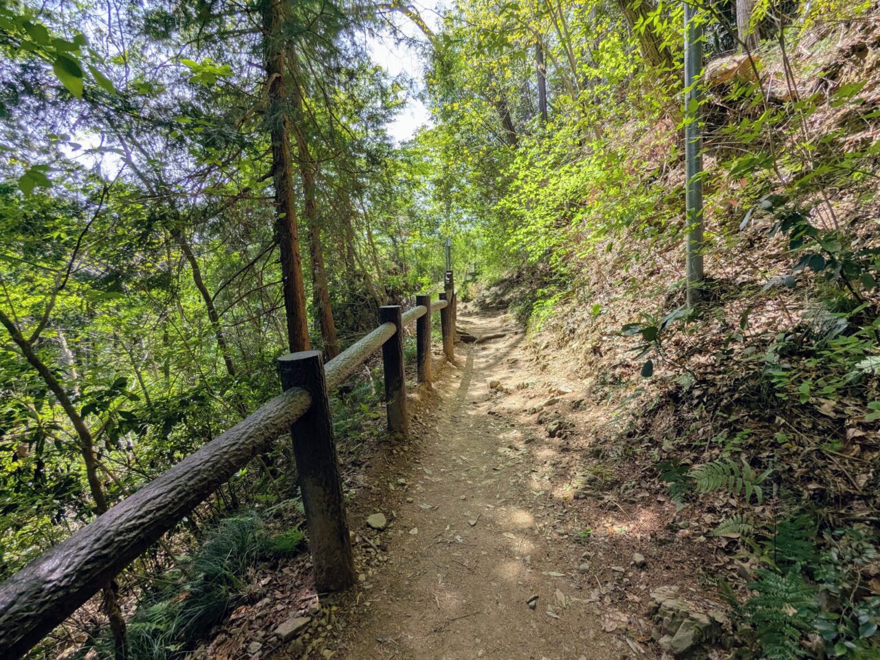 高尾山（稲荷山コース）
