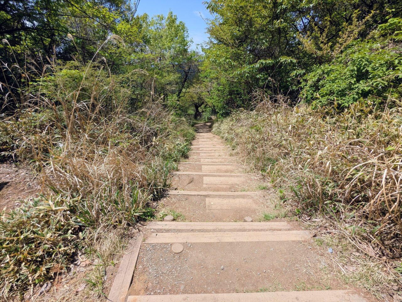 高尾山（高尾山山頂から小仏城山）