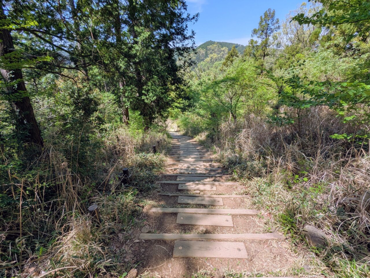 高尾山（高尾山山頂から小仏城山）