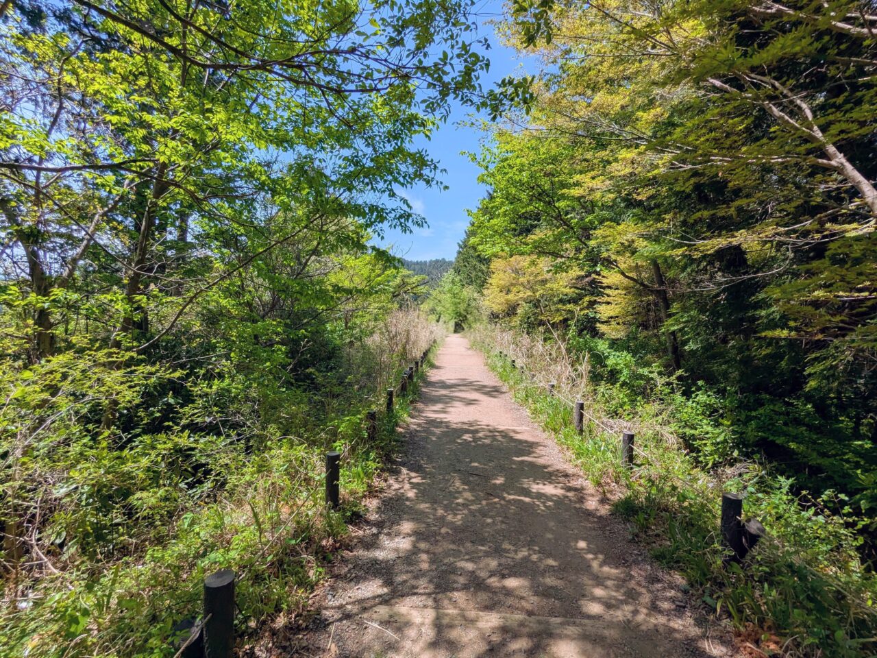 高尾山（高尾山山頂から小仏城山）