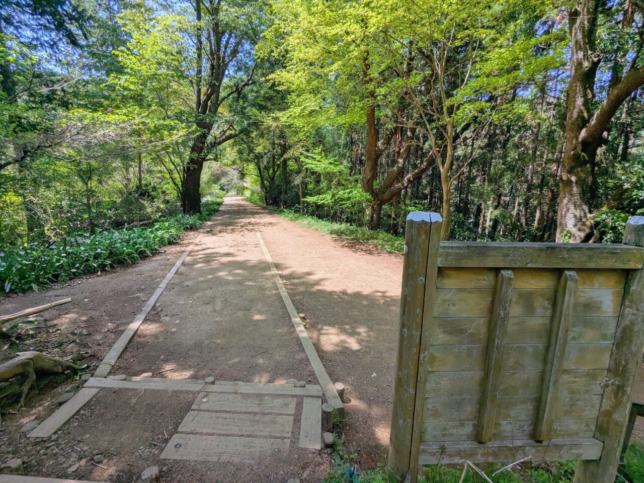 高尾山（高尾山山頂から小仏城山）