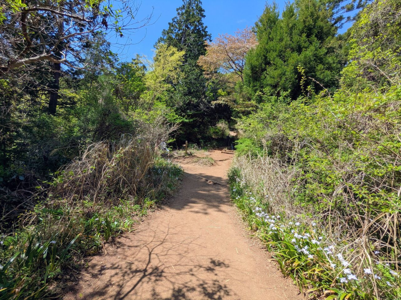 高尾山（高尾山山頂から小仏城山）