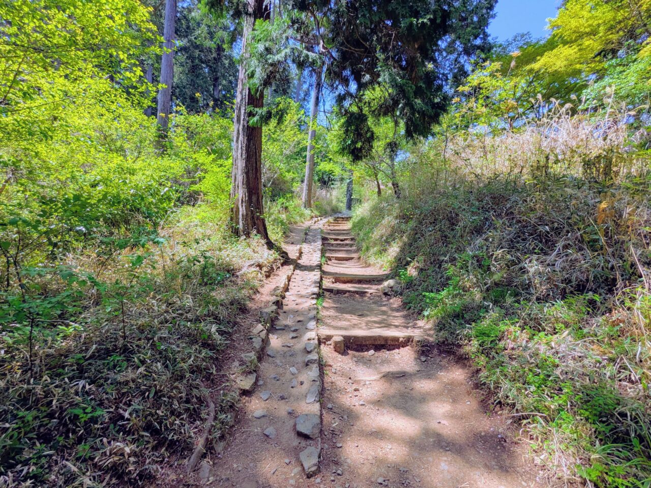 高尾山（高尾山山頂から小仏城山）