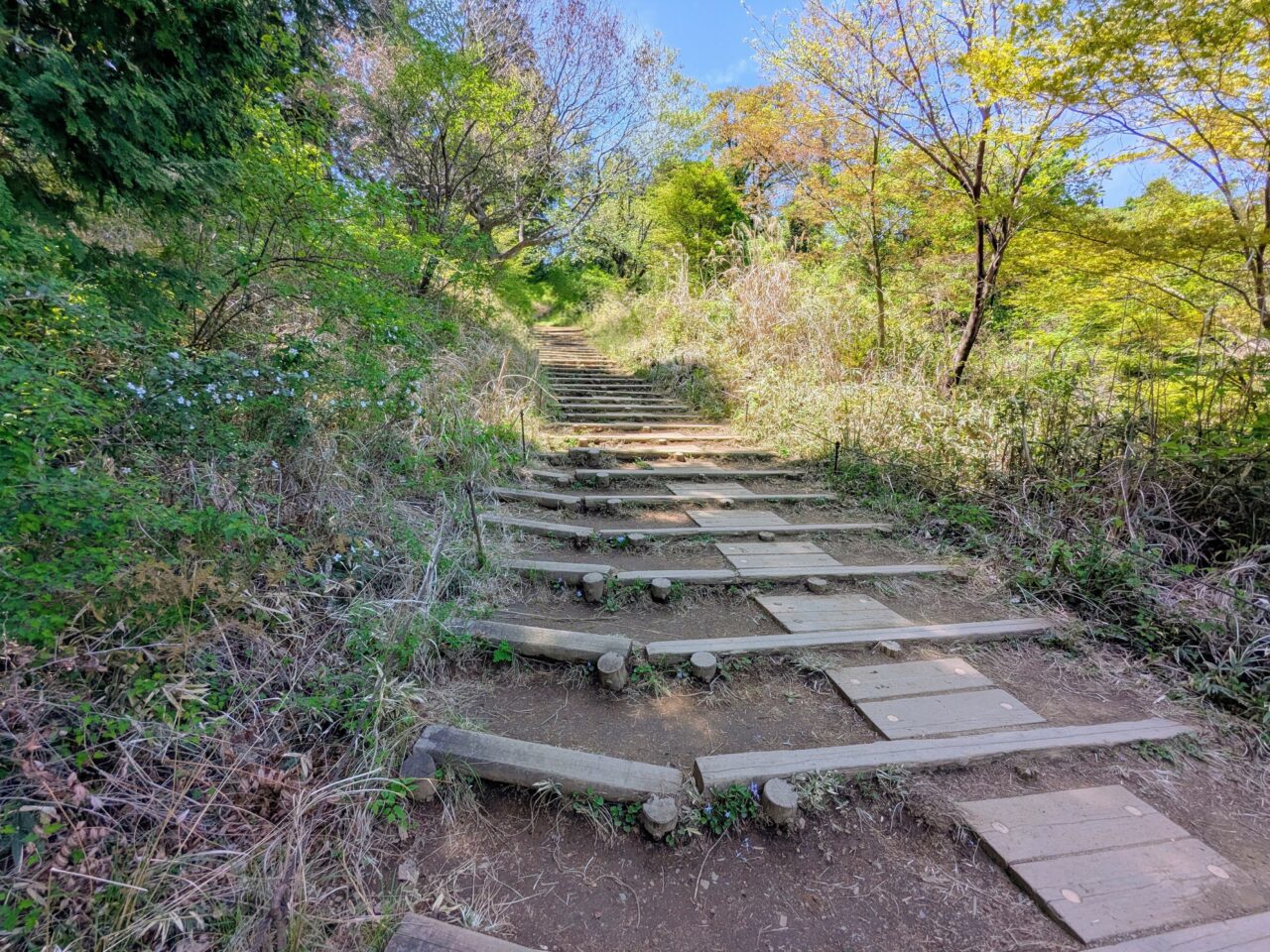 高尾山（高尾山山頂から小仏城山）