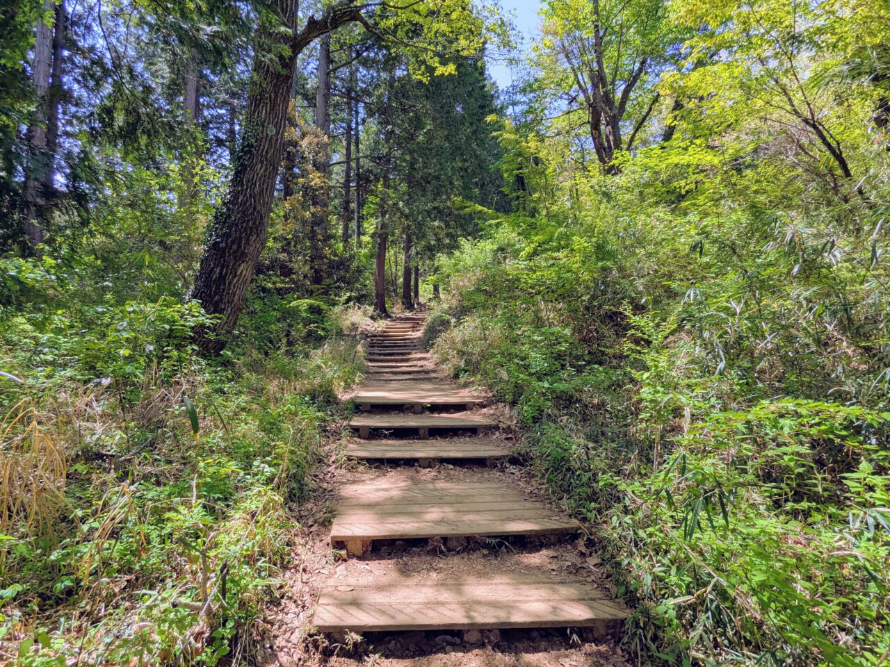 高尾山（高尾山山頂から小仏城山）