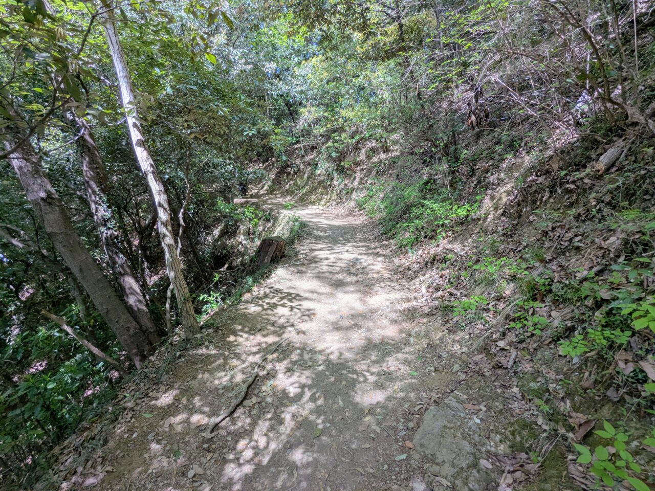 高尾山（稲荷山コース）