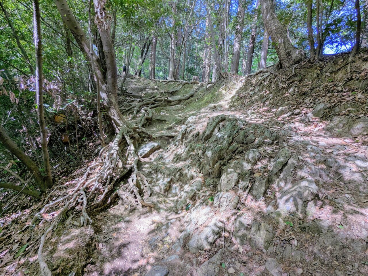 高尾山（稲荷山コース）