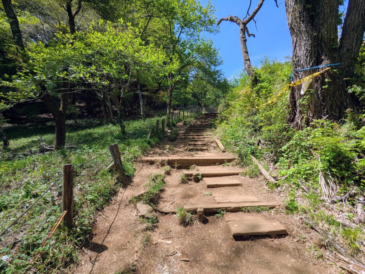 高尾山（高尾山山頂から小仏城山）