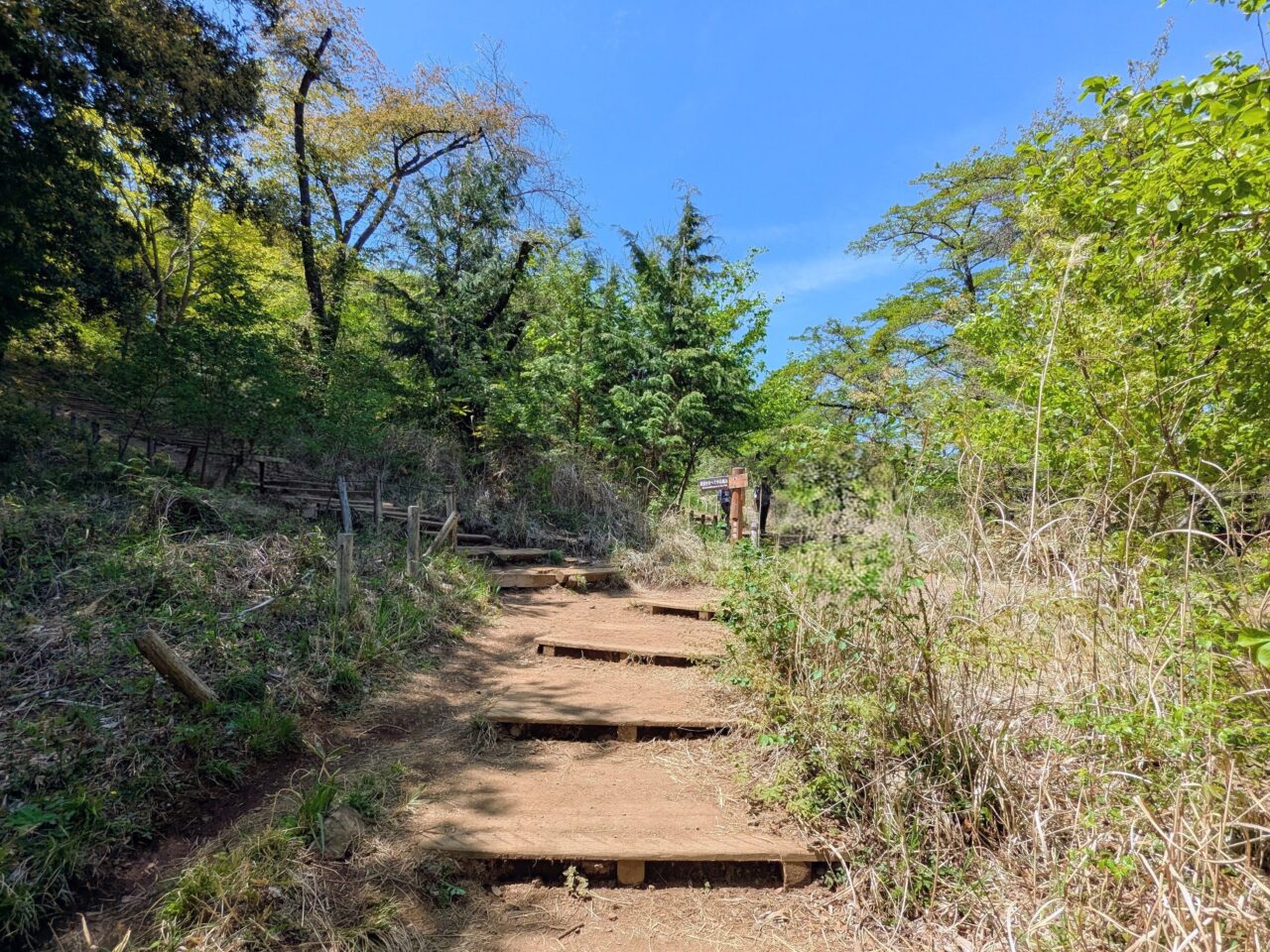 高尾山（高尾山山頂から小仏城山）