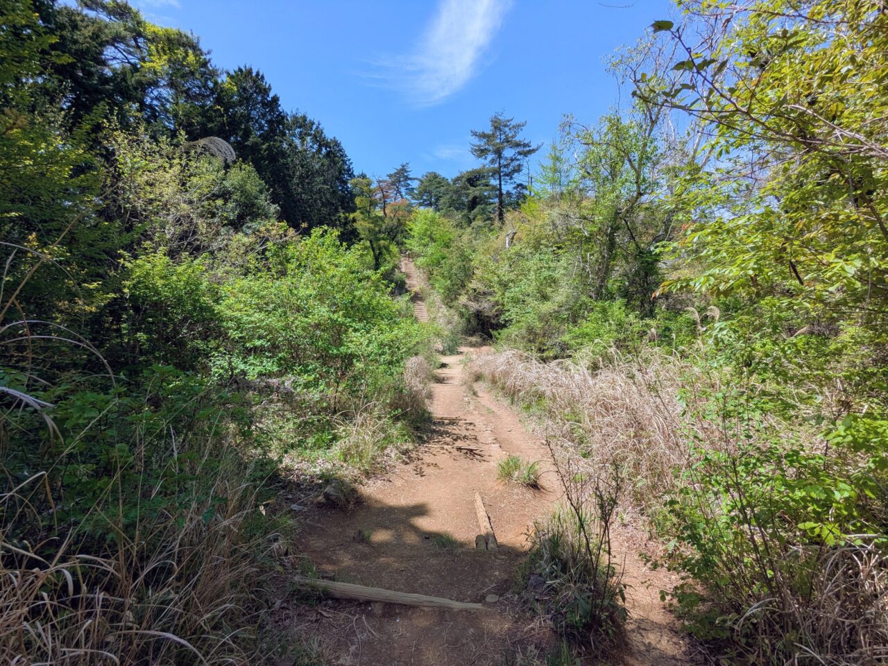 高尾山（高尾山山頂から小仏城山）