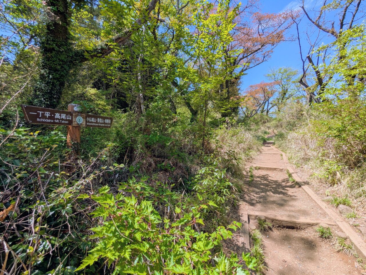 高尾山（高尾山山頂から小仏城山）