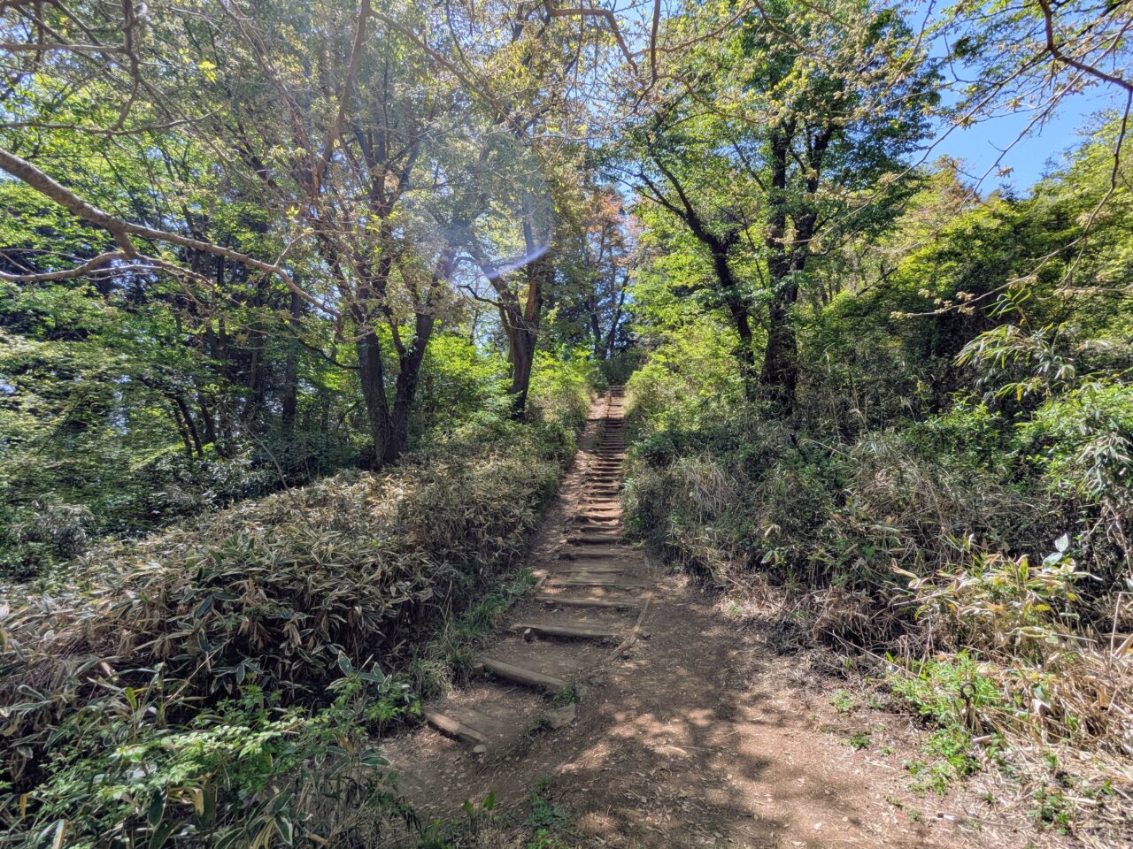 高尾山（高尾山山頂から小仏城山）