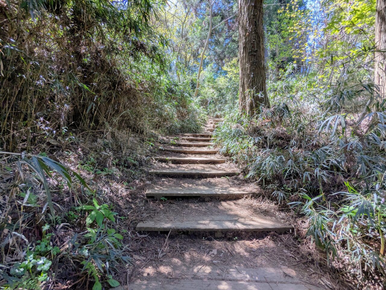 高尾山（高尾山山頂から小仏城山）