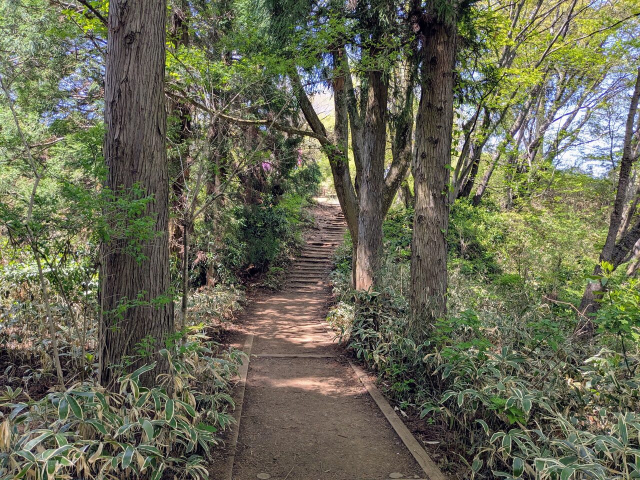 高尾山（高尾山山頂から小仏城山）