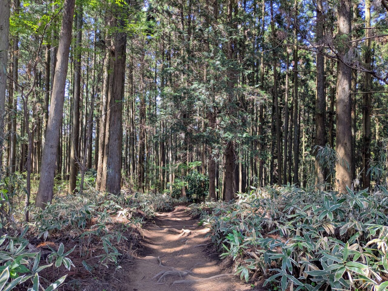 高尾山（小仏城山山頂から小仏バス停）