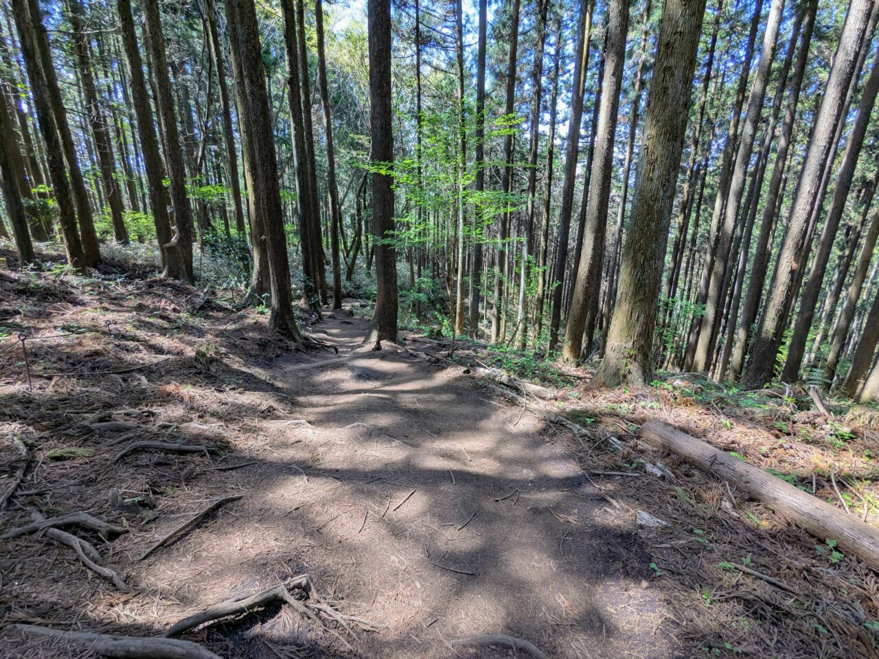 高尾山（小仏城山山頂から小仏バス停）