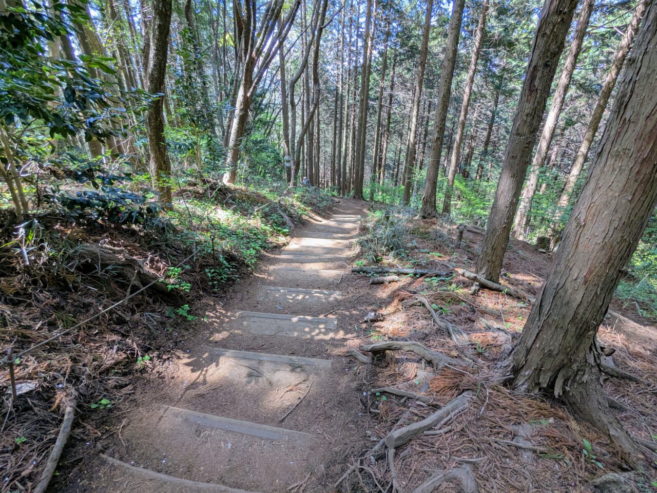 高尾山（小仏城山山頂から小仏バス停）