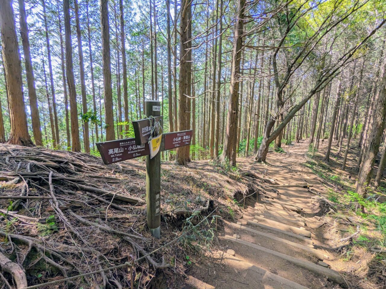 高尾山（小仏城山山頂から小仏バス停）