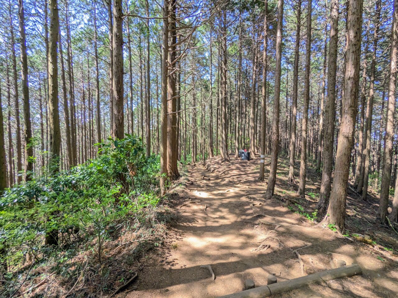 高尾山（小仏城山山頂から小仏バス停）