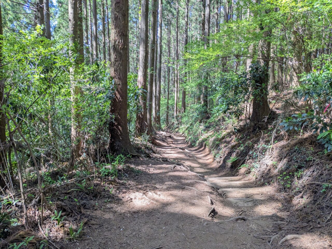 高尾山（小仏城山山頂から小仏バス停）