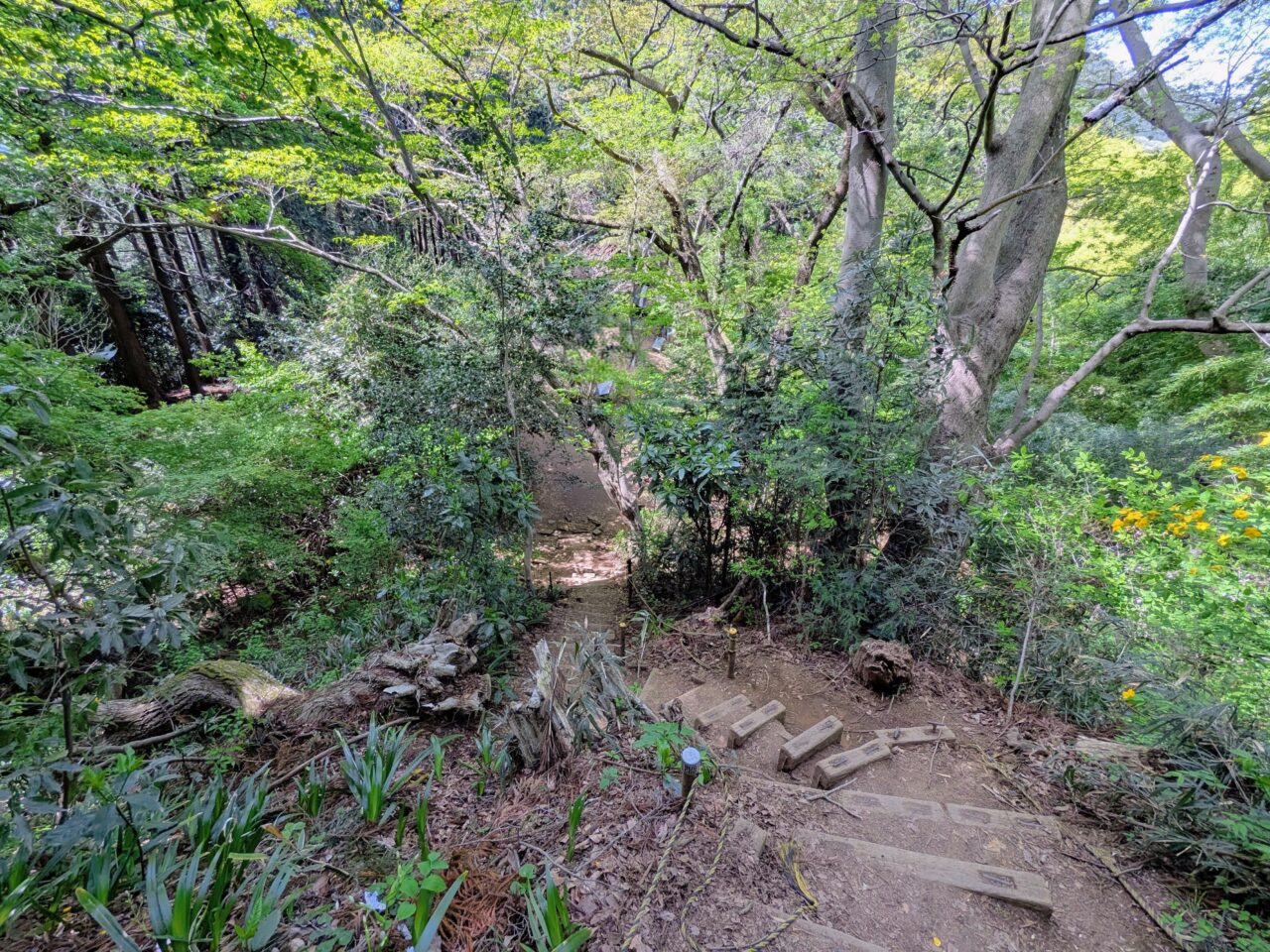 高尾山（小仏城山山頂から小仏バス停）