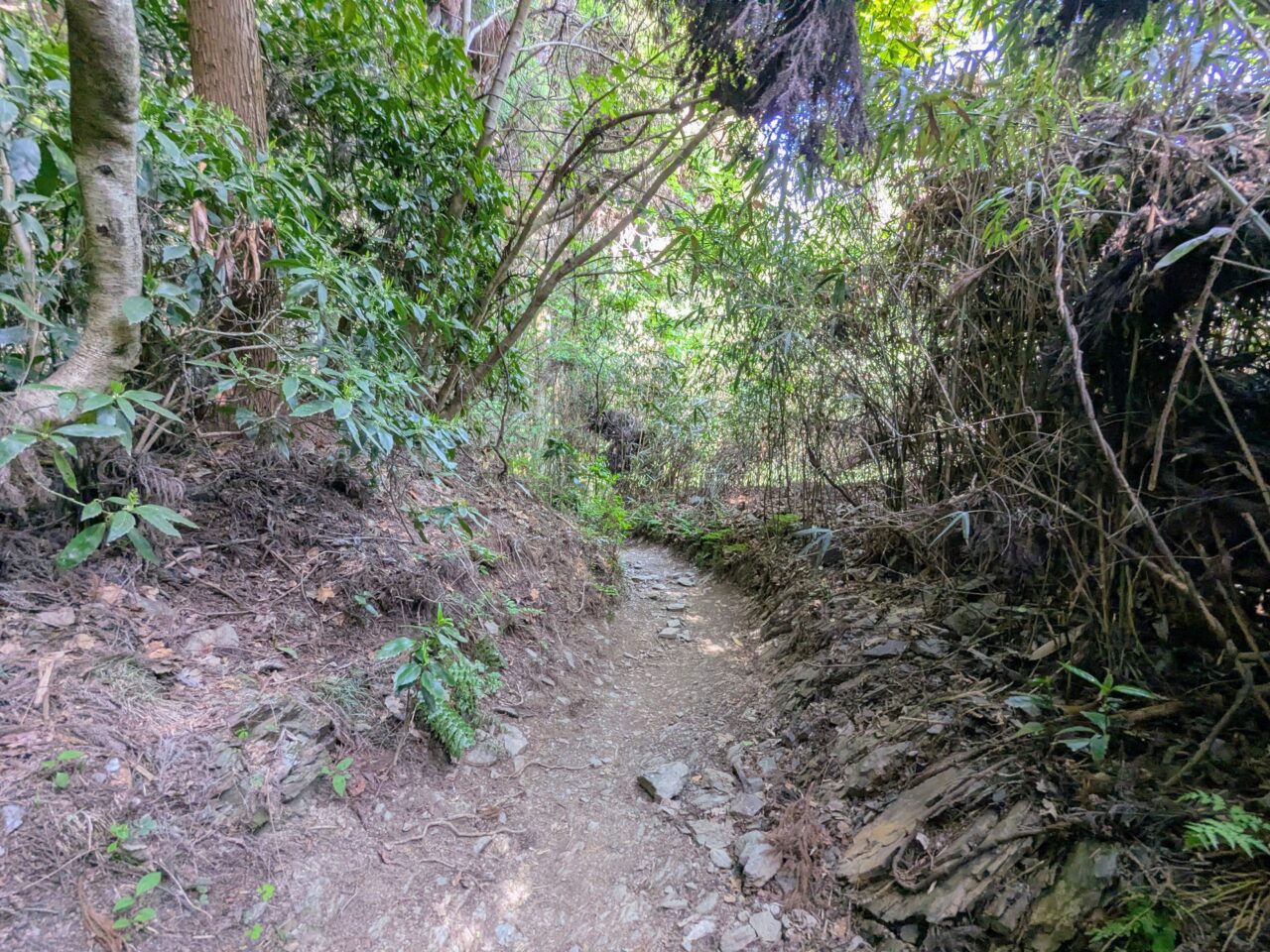 高尾山（小仏城山山頂から小仏バス停）