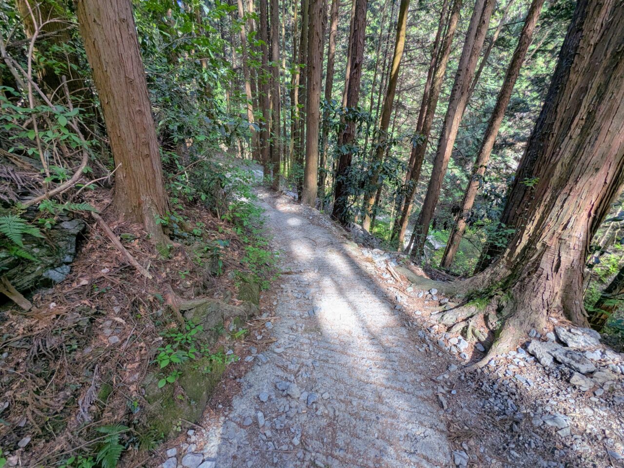 高尾山（小仏城山山頂から小仏バス停）