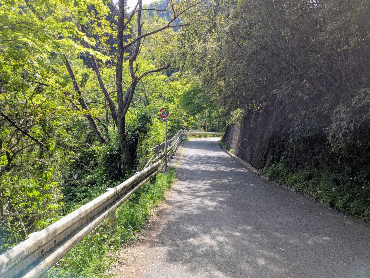 高尾山（小仏城山山頂から小仏バス停）