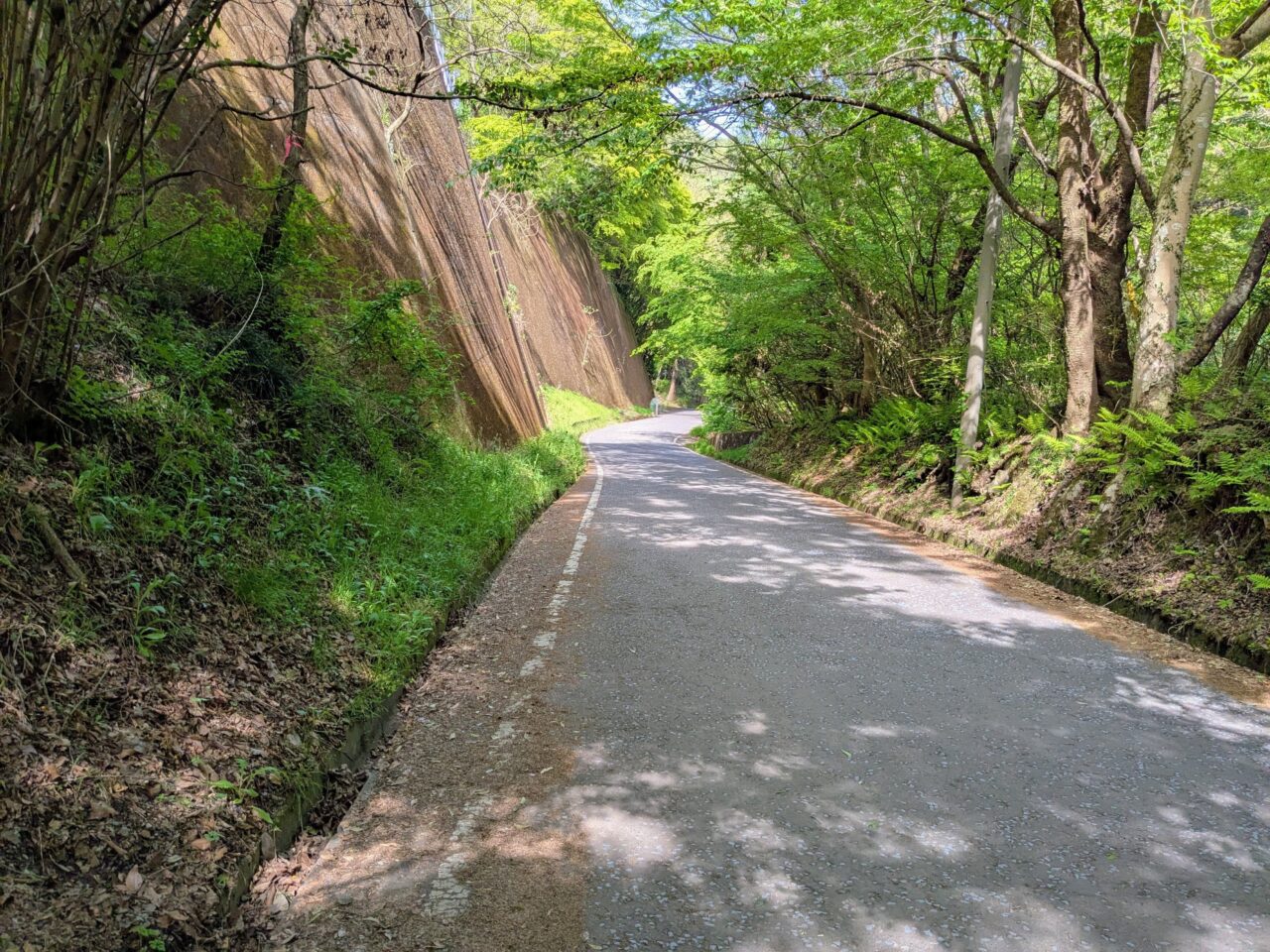 高尾山（小仏城山山頂から小仏バス停）
