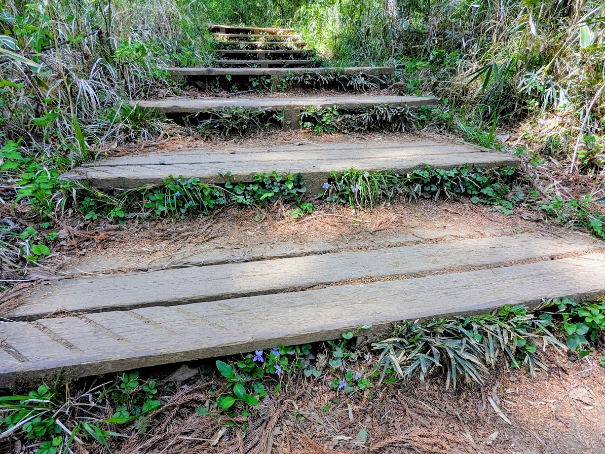 高尾山（高尾山山頂から小仏城山）