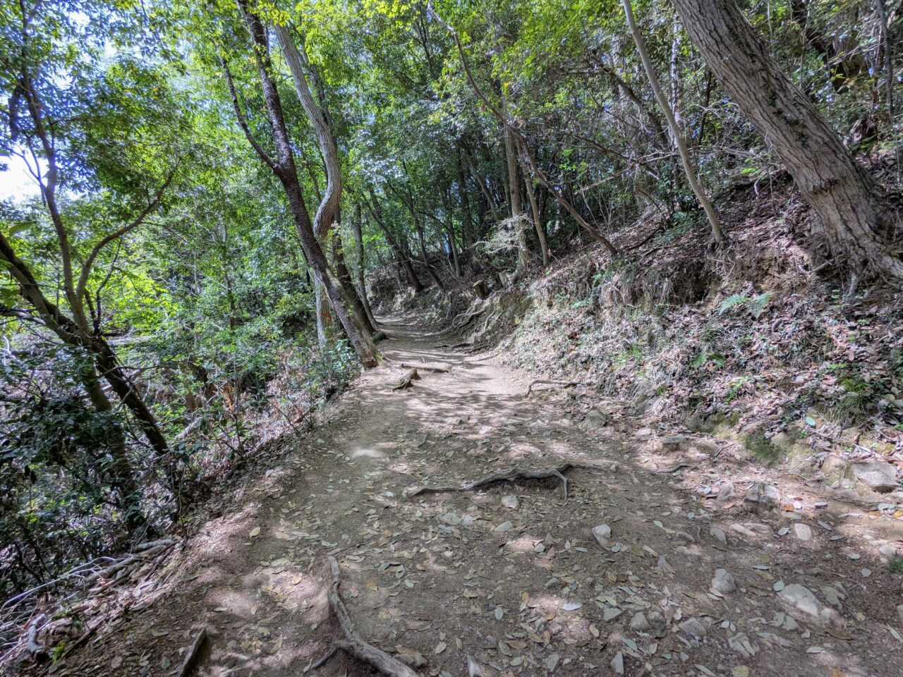 高尾山（稲荷山コース）