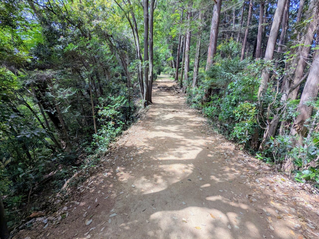 高尾山（稲荷山コース）