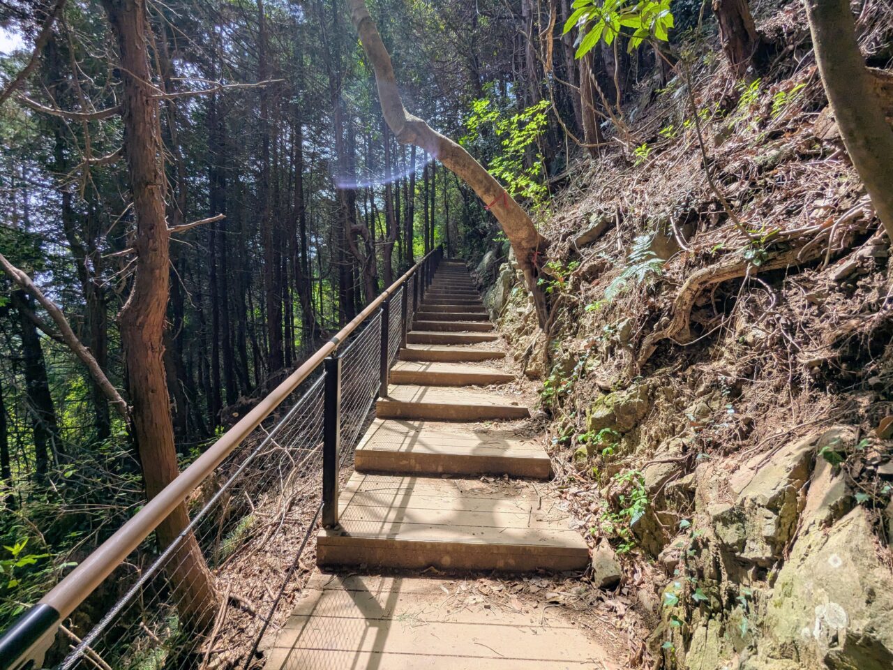 高尾山（稲荷山コース）