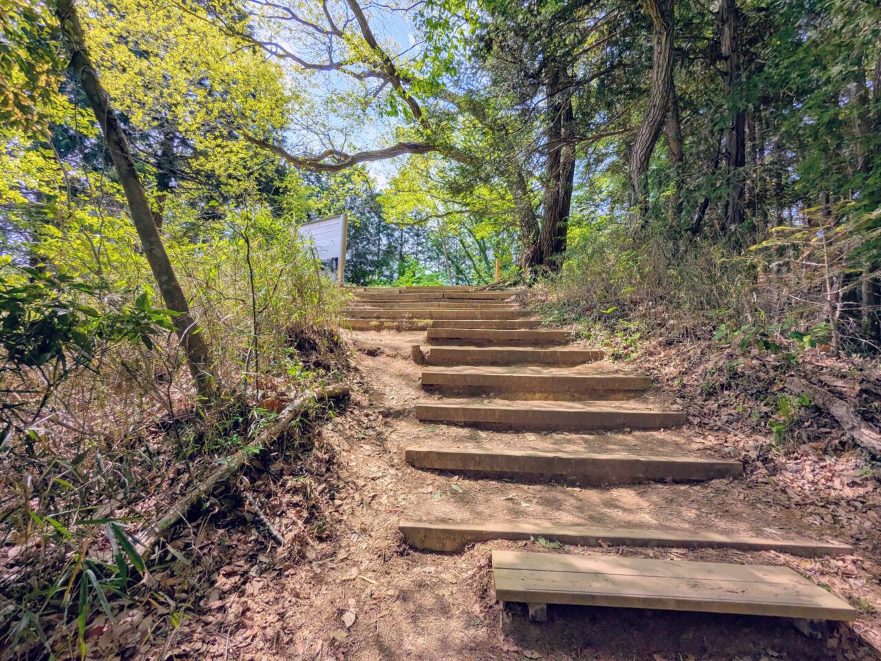 高尾山（稲荷山コース）