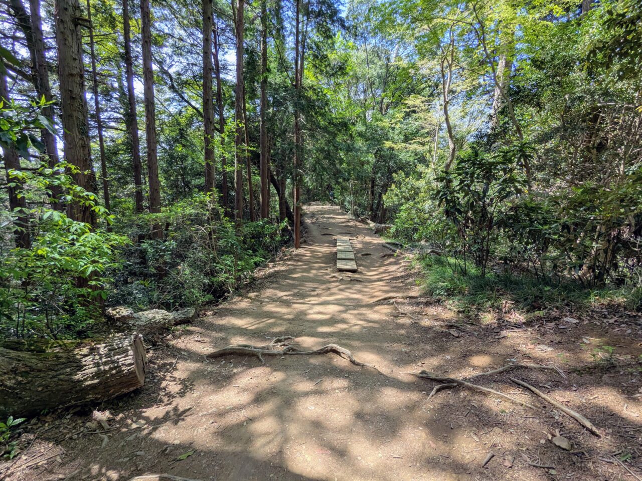 高尾山（稲荷山コース）