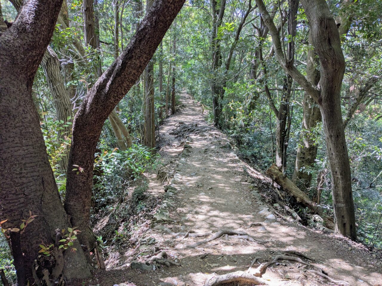 高尾山（稲荷山コース）