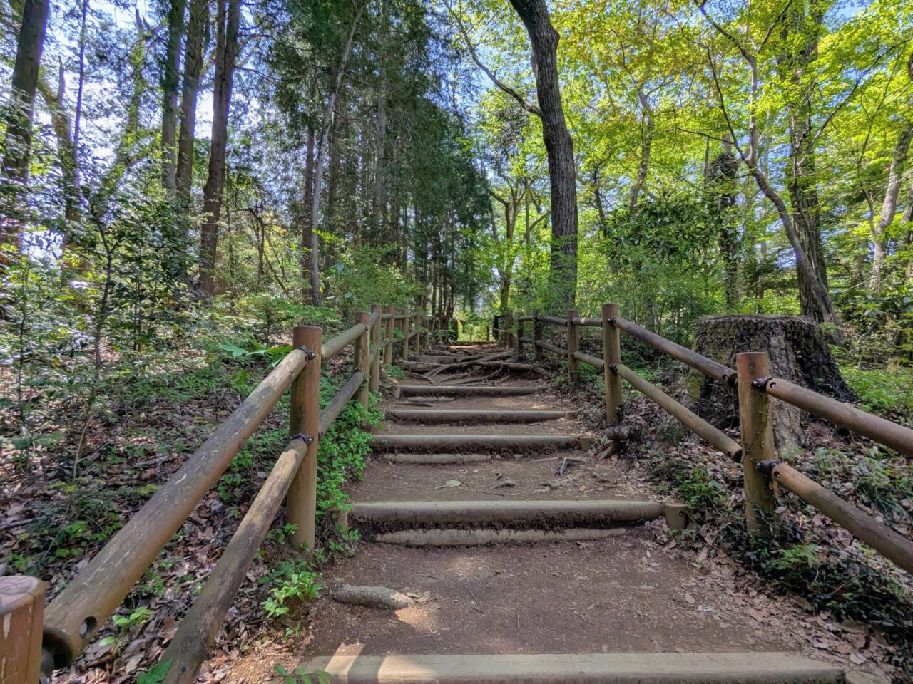 高尾山（稲荷山コース）