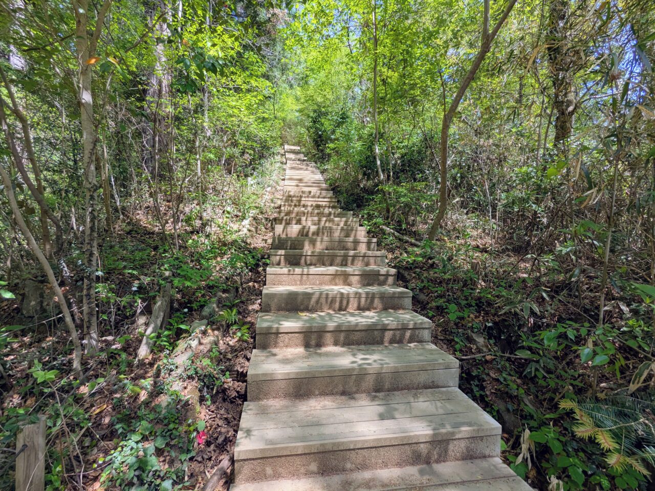 高尾山（稲荷山コース）