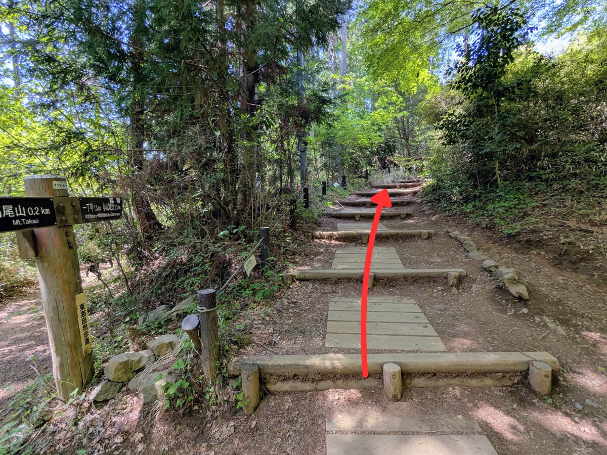 高尾山（高尾山山頂から小仏城山）
