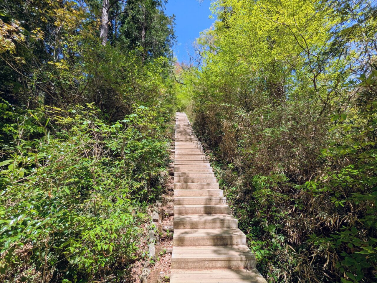 高尾山（稲荷山コース）