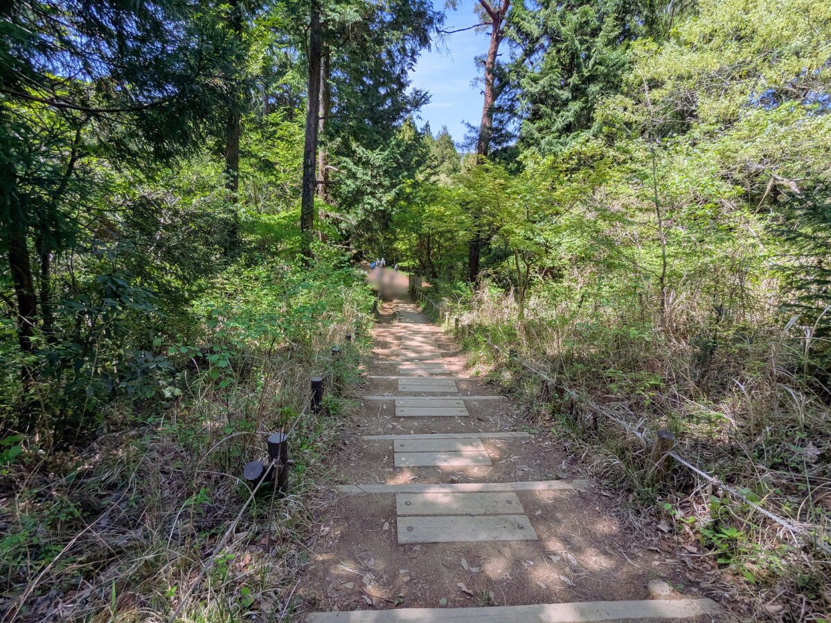 高尾山（高尾山山頂から小仏城山）