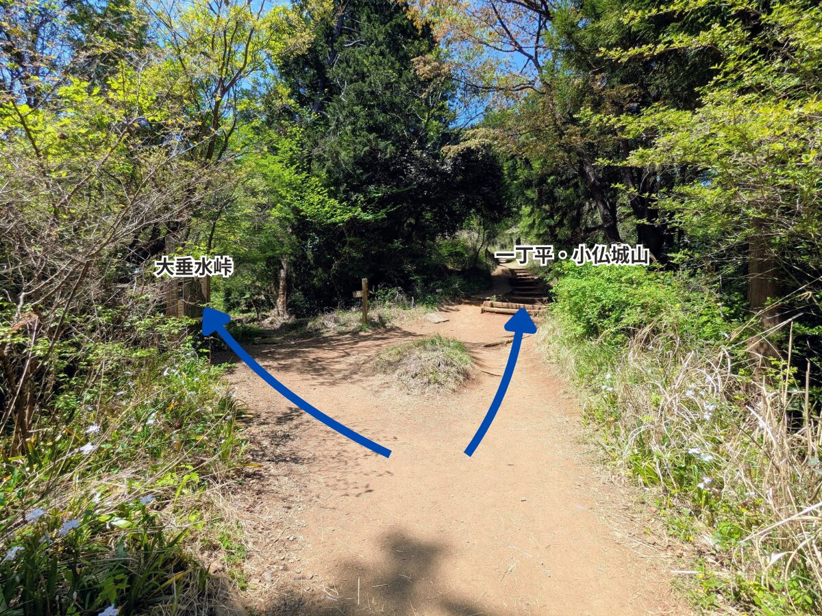 高尾山（高尾山山頂から小仏城山）