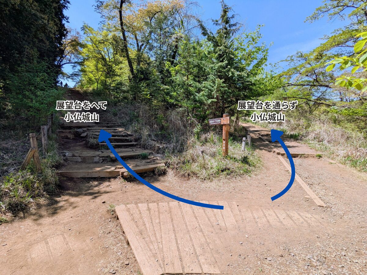 高尾山（高尾山山頂から小仏城山）