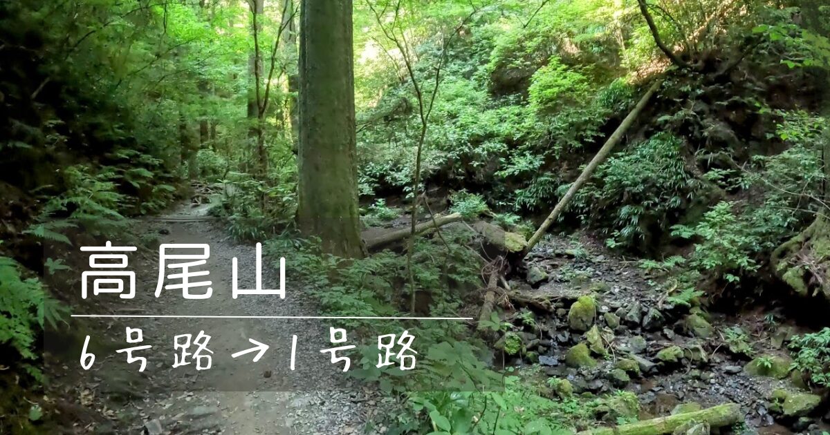 ６号路で登る高尾山